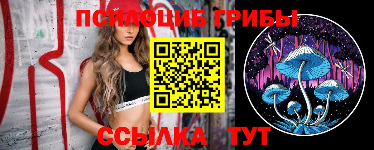 Псилоцибиновые грибы GOLDEN TEACHER Нижневартовск