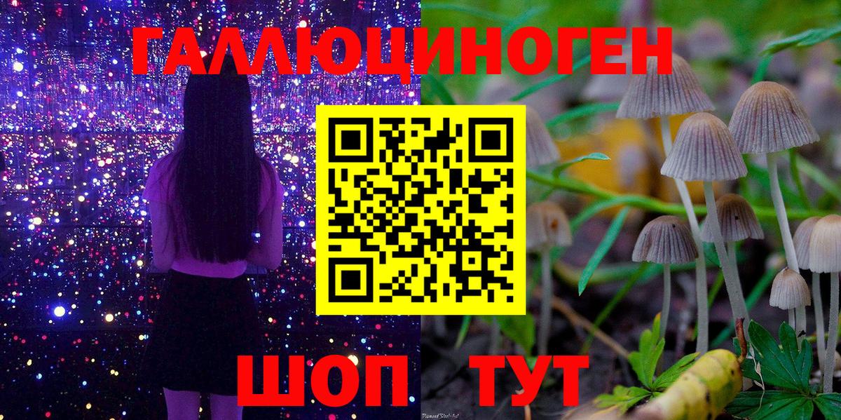 где купить наркоту  Псилоцибиновые грибы мухоморы  Вход с VPN  Нижневартовск 